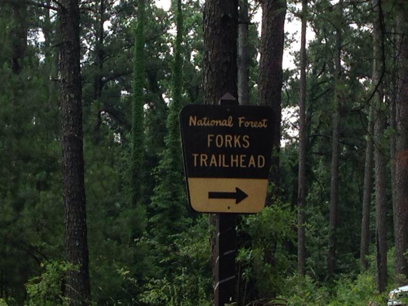 Sign marking the Forks Trailhead in a national forest, with an arrow directing to the right, surrounded by tall trees and greenery. Forks Area Trail System (FATS) mountain bike trail.