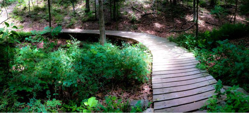 A wooden walkway curves through lush greenery in a serene forest setting, surrounded by trees and fallen leaves. Sunlight filters through the branches, illuminating the path. Blowing Springs mountain bike trail.
