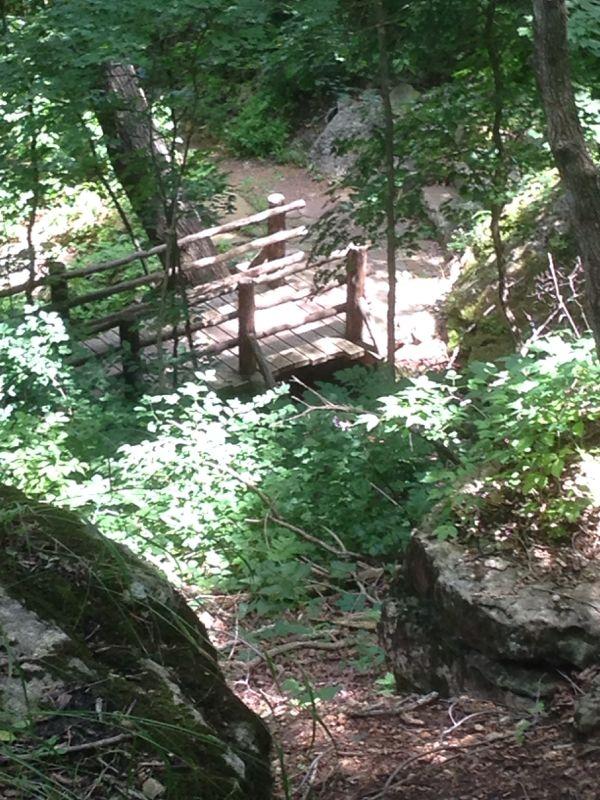 A wooden bridge nestled among lush greenery in a forest setting, with sunlight filtering through the trees. The bridge spans a small path surrounded by dense foliage and rocky terrain. Blowing Springs mountain bike trail.