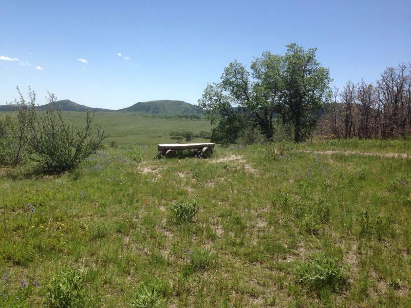 A grassy landscape featuring a wooden bench surrounded by low vegetation, with rolling hills in the background under a clear blue sky. A few trees are visible nearby, adding a natural element to the scene. Spruce Mountain Trail Upper Loop mountain bike trail.