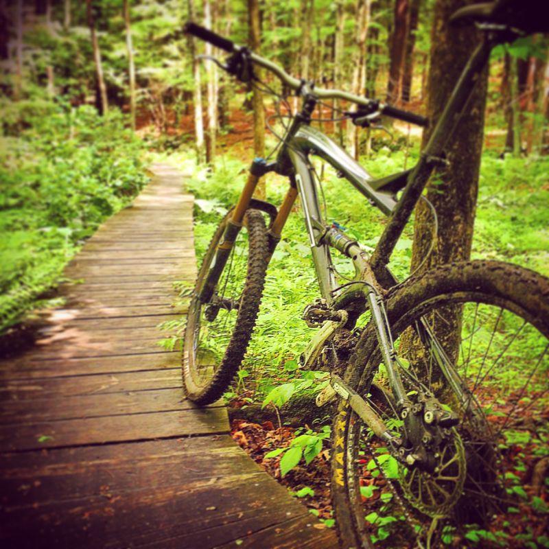 A mountain bike with muddy tires is leaning against a tree next to a wooden pathway in a lush forest. Green foliage surrounds the path, indicating a natural, scenic outdoor setting. Landlocked Forest mountain bike trail.