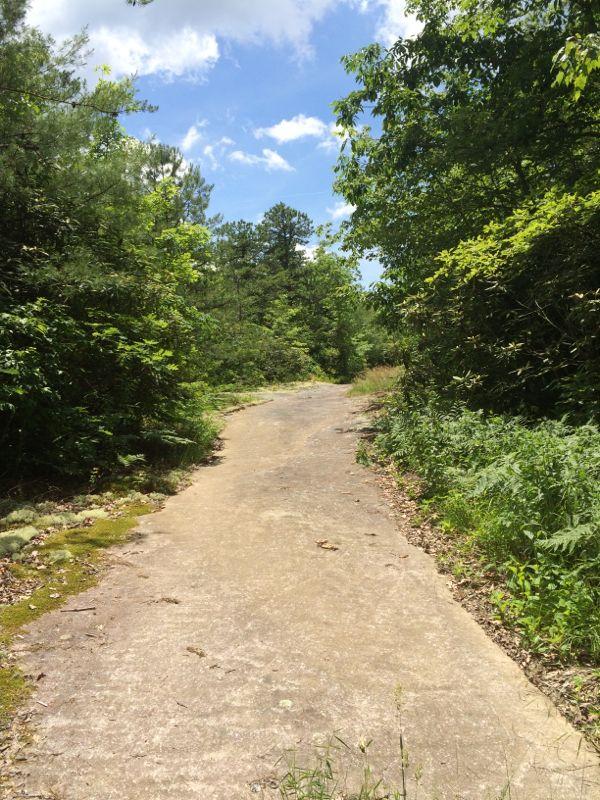 A narrow, winding path made of stone, surrounded by lush greenery and tall trees under a bright blue sky with scattered clouds. The scene conveys a sense of tranquility and nature, inviting exploration. Panthertown Valley mountain bike trail.