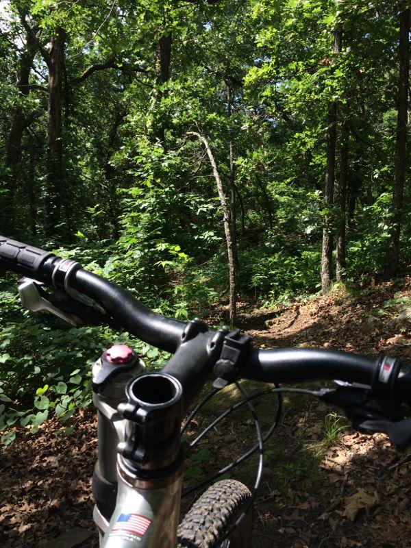 A close-up view of a mountain bike's handlebars with a forest path visible ahead, surrounded by lush green foliage and trees, indicating a sunny day for outdoor biking. Badger Creek North Trail mountain bike trail.