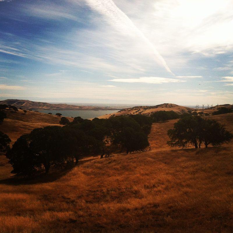 A serene landscape featuring rolling hills with golden grass, interspersed with oak trees. In the distance, a body of water reflects the sky, while wind turbines are visible on a nearby hill, under a partly cloudy blue sky. Whiskey Flat / Spikes Peak mountain bike trail.