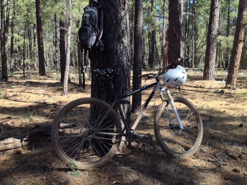 A mountain bike resting against a tree in a forest setting, with a black backpack hanging from a branch above it. The ground is covered in pine needles, and tall trees surround the area, creating a serene outdoor atmosphere. A white helmet is attached to the bike's handlebars. Soldiers Loop / Fairgrounds trails mountain bike trail.