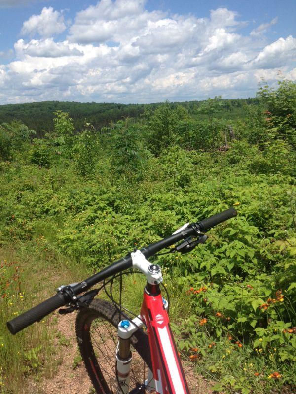 A close-up view of a mountain bike handlebar, set against a backdrop of lush greenery and a cloudy blue sky. The scene captures a serene outdoor environment, suggesting a trail or path in a natural setting. Nicolet Nat'l Forest mountain bike trail.