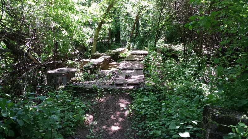 A sunlit path through a dense forest, featuring remnants of stone structures partially covered in greenery and surrounded by lush undergrowth and trees. FDR Park mountain bike trail.