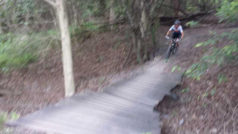 A blurred image of a cyclist riding a mountain bike along a wooden bridge in a forested area, surrounded by trees and leafy ground. Markham Park mountain bike trail.
