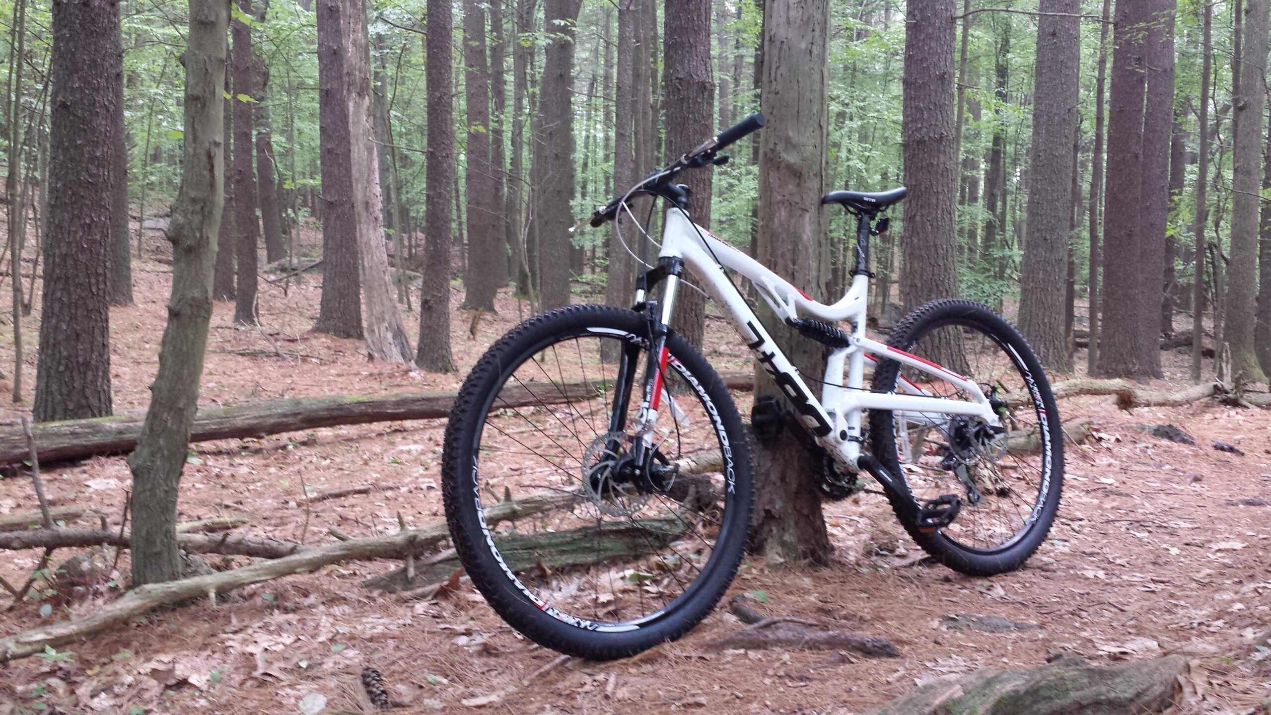 Diamondback Recoil 29: A mountain bike leaning against a tree in a forest setting, surrounded by tall trees and a carpet of pine needles and leaves on the ground.