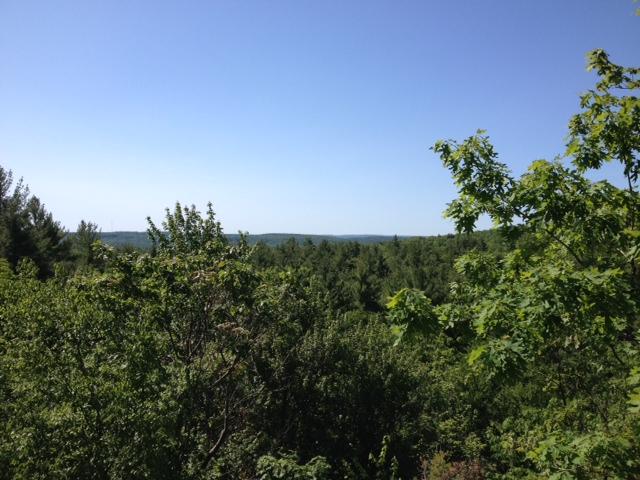 A panoramic view of lush green trees and hills under a clear blue sky, showcasing the beauty of a natural landscape. Bear Brook mountain bike trail.