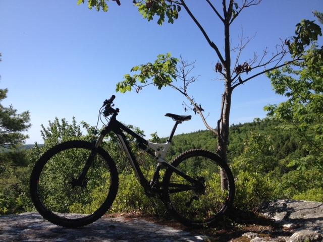 Trek Rumblefish II: A mountain bike parked on a rocky outcrop, with lush green trees and a clear blue sky in the background, offering a scenic view of the surrounding landscape.