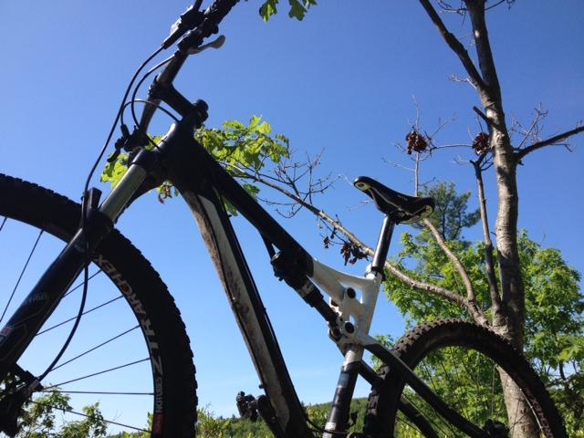 Trek Rumblefish II: A close-up view of a mountain bike positioned against a tree, with clear blue skies in the background. The bike features a black and white frame, dirt tires, and visible components like the handlebars and seat. Lush green leaves and tree branches are partially visible around the bike.