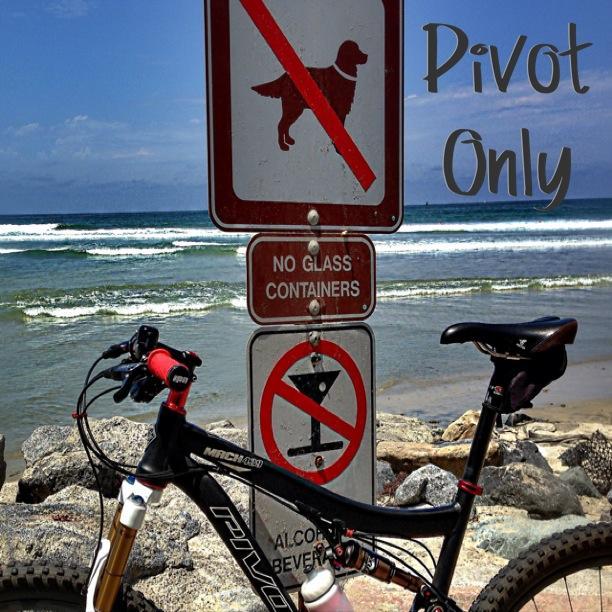 Pivot Mach 429: A mountain bike rests on a rocky shoreline in front of ocean waves. Two signs are visible: one displays a dog with a red slash through it, indicating no dogs allowed, and the other states "No Glass Containers" with an additional prohibition against alcohol beverages. The words "Pivot Only" are artistically displayed in the top right corner.