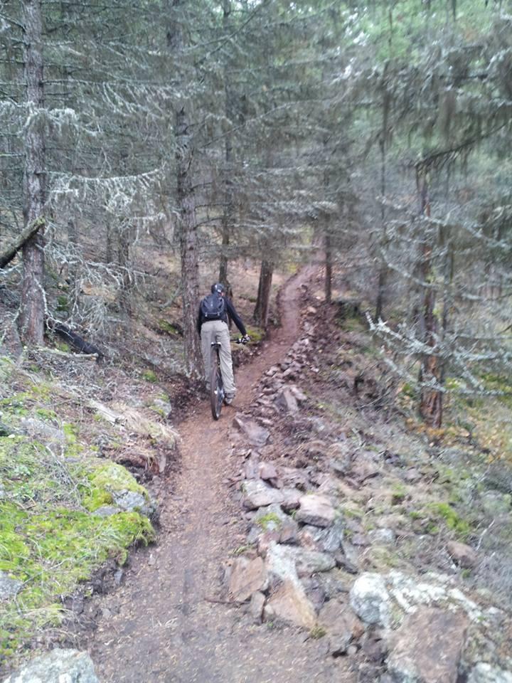 A person riding a mountain bike on a narrow trail winding through a dense forest of trees and rocks. The path is lined with small boulders and moss, creating a natural setting for outdoor biking. Kalamalka Lake Provincial Park mountain bike trail.