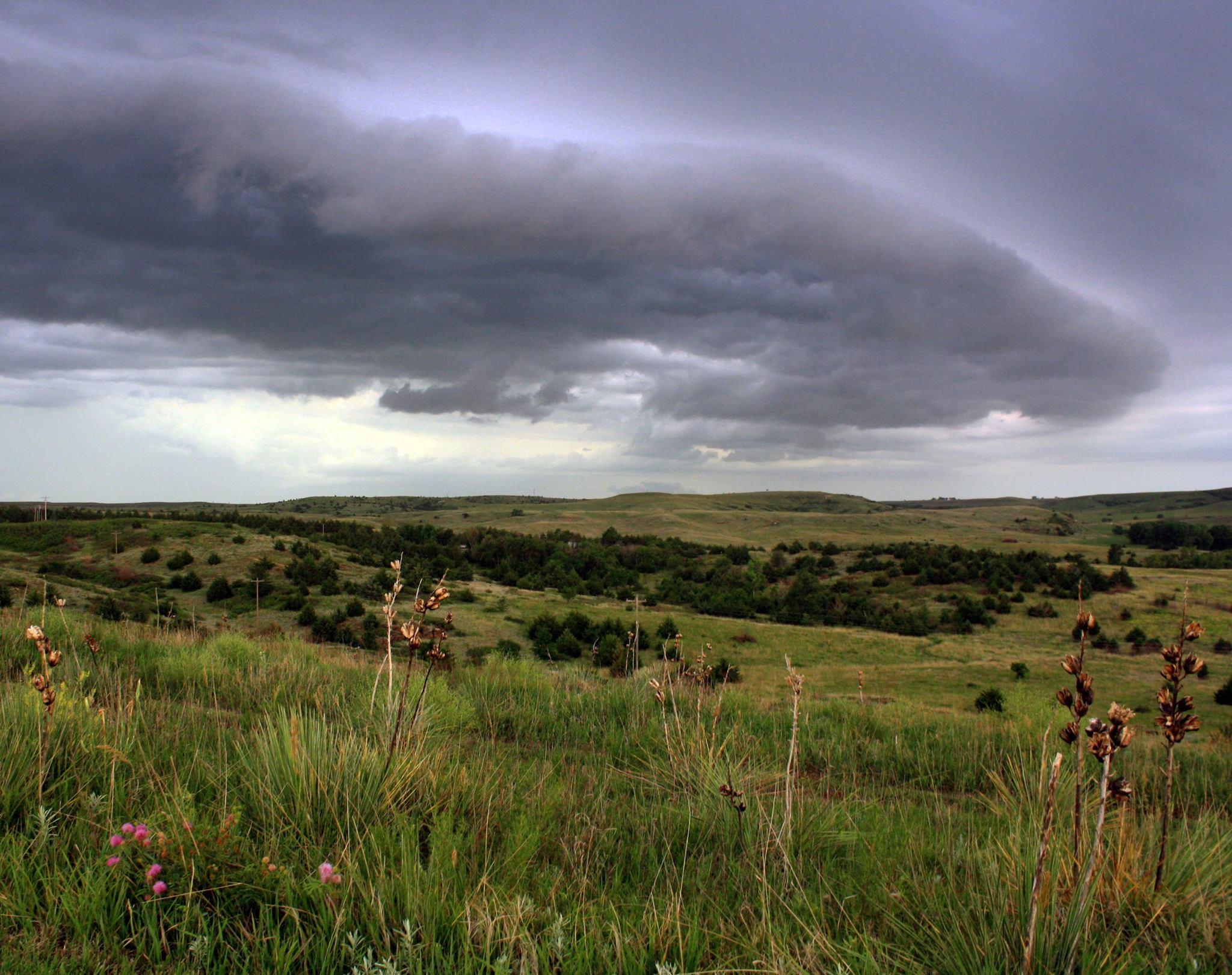A panoramic view of rolling green hills under a dramatic sky filled with dark, ominous clouds. The landscape features sparse vegetation in the foreground, including wildflowers and tall grass, while the horizon shows a mix of tree cover and open fields. Switchgrass mountain bike trail.