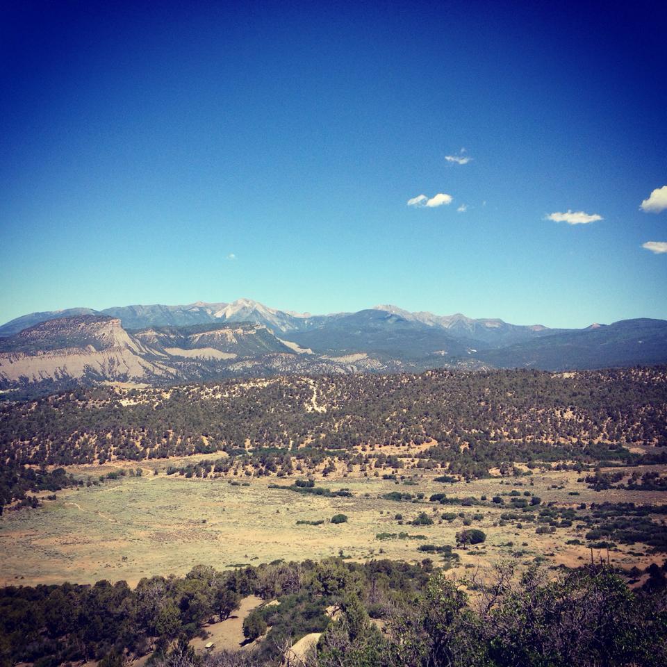 A panoramic view of a mountainous landscape under a clear blue sky. The foreground features dense forests and open fields, while the background showcases rugged mountain peaks with some snow caps. A few clouds float in the sky, enhancing the serene atmosphere of the scene. Telegraph Trail System mountain bike trail.