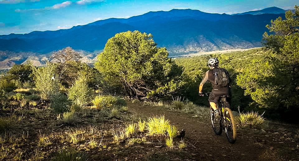 A mountain biker rides along a dirt trail surrounded by lush greenery, with mountains in the background under a blue sky. The rider is wearing a helmet and a black shirt, heading into the scenic landscape. Methodist Mountain mountain bike trail.