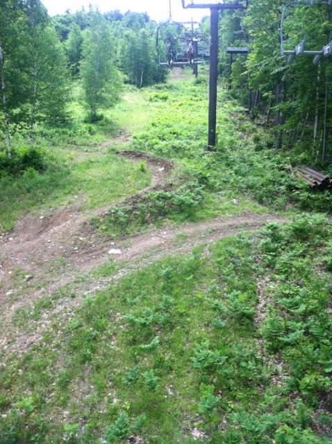 A scenic view of a ski slope in a wooded area, featuring a dirt path winding through lush green grass and ferns, with a ski lift visible in the background. The image captures a serene natural environment during the summer season. Highland Mountain Bike Park mountain bike trail.