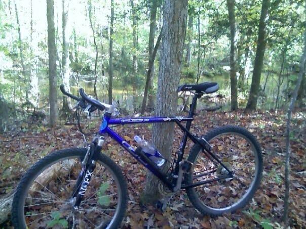 GT Timberline: A blue and black mountain bike leaning against a tree in a wooded area, surrounded by autumn leaves and greenery, with a pond visible in the background.
