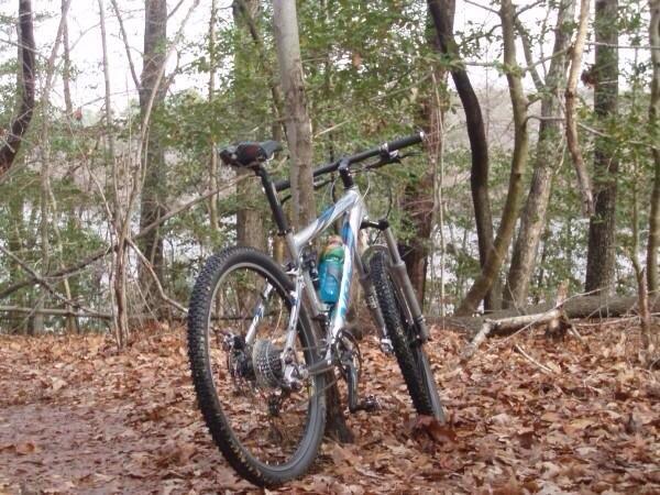 Giant NRS 2: A mountain bike resting against a tree in a forested area, surrounded by fallen leaves. In the background, a glimpse of water can be seen through the trees.