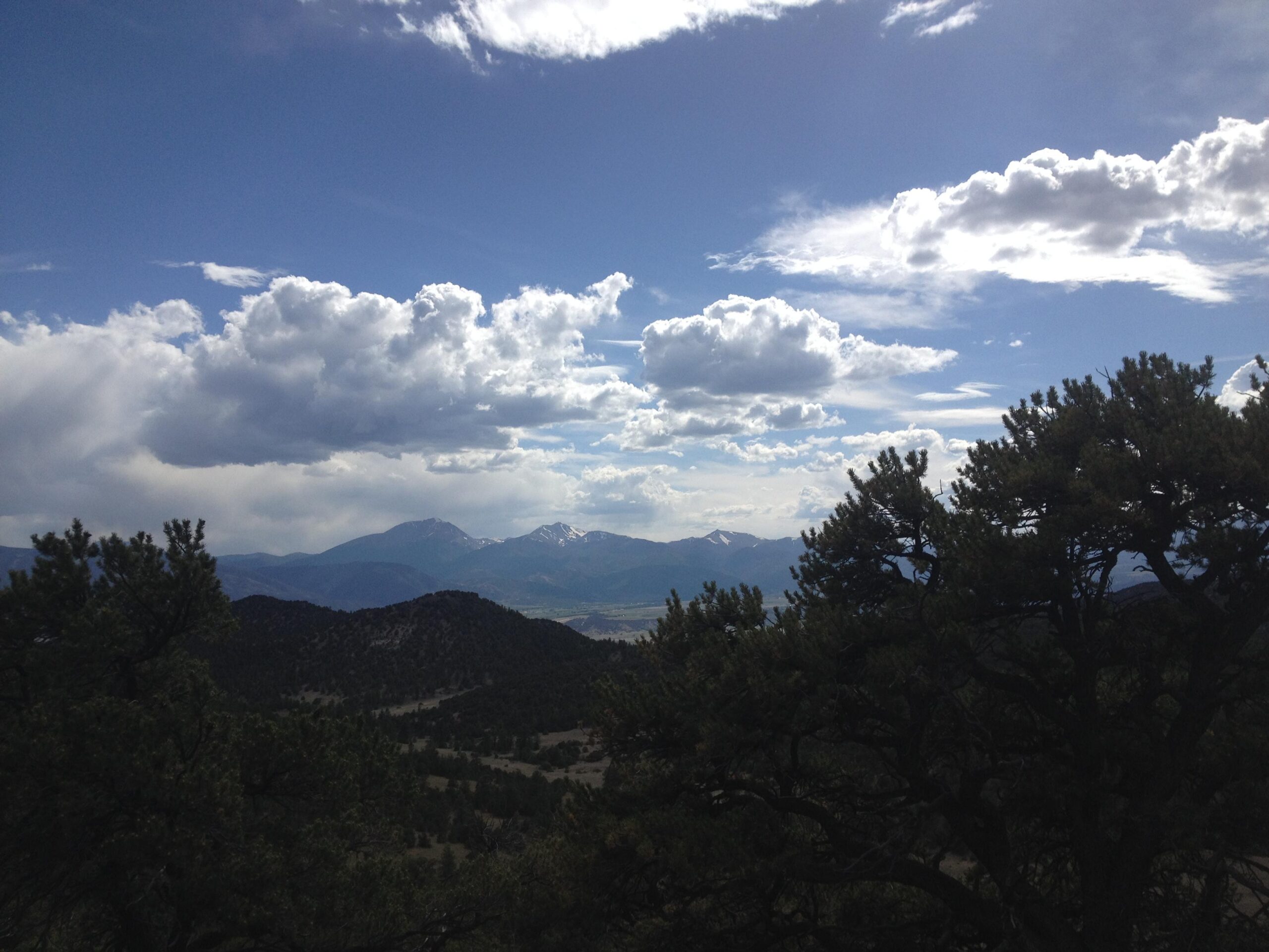 A scenic view of distant mountains under a cloudy sky, framed by evergreen trees in the foreground. The landscape features a mix of rugged terrain and open valleys, with patches of snow visible on the mountain peaks. Cottonwood mountain bike trail.