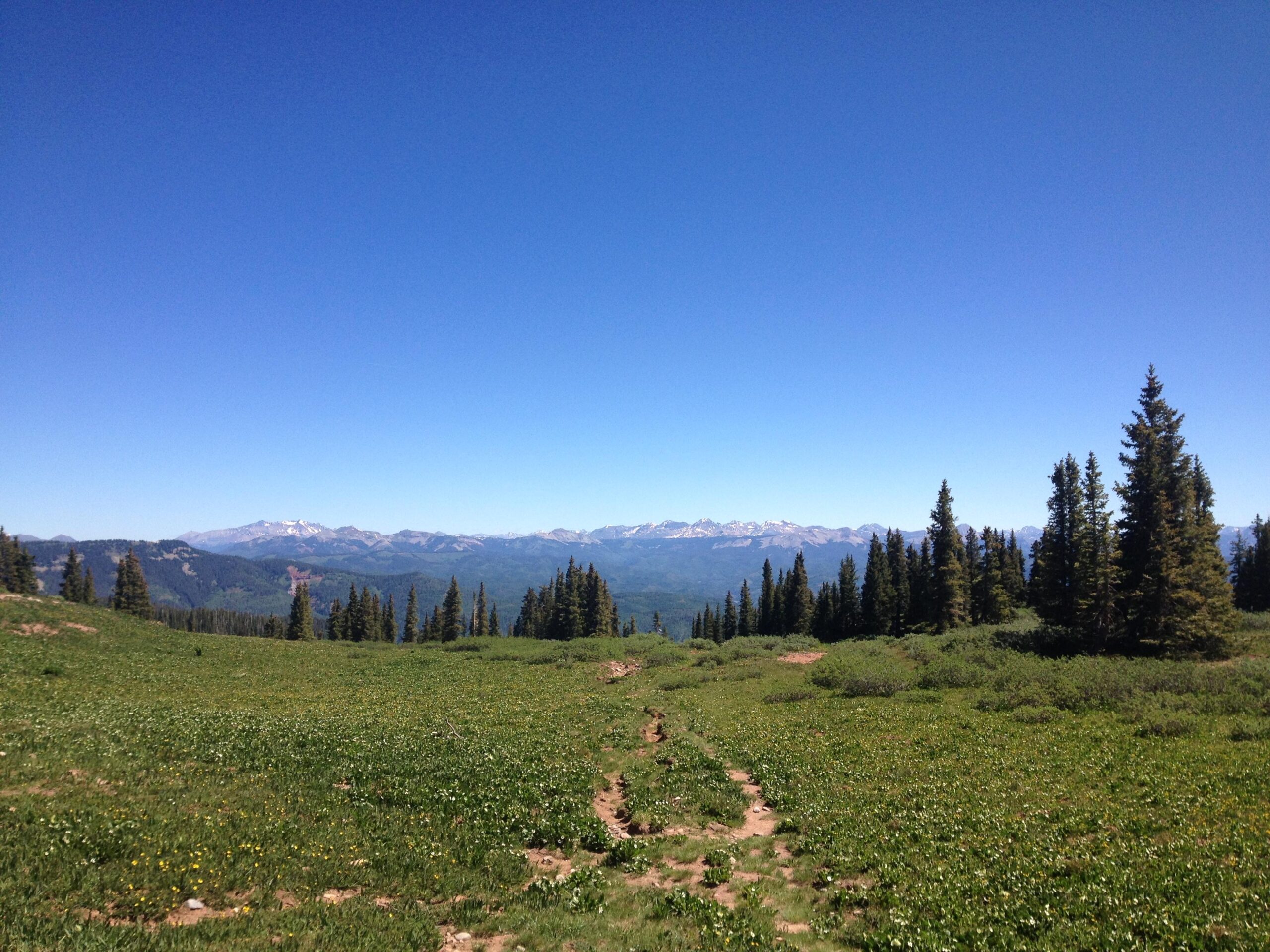 A wide landscape view showing a grassy meadow with scattered wildflowers and a winding path, framed by lush green trees. In the background, rolling mountains rise into the clear blue sky, with some peaks capped in snow. Colorado Trail: Kennebec Pass To Junction Creek mountain bike trail.