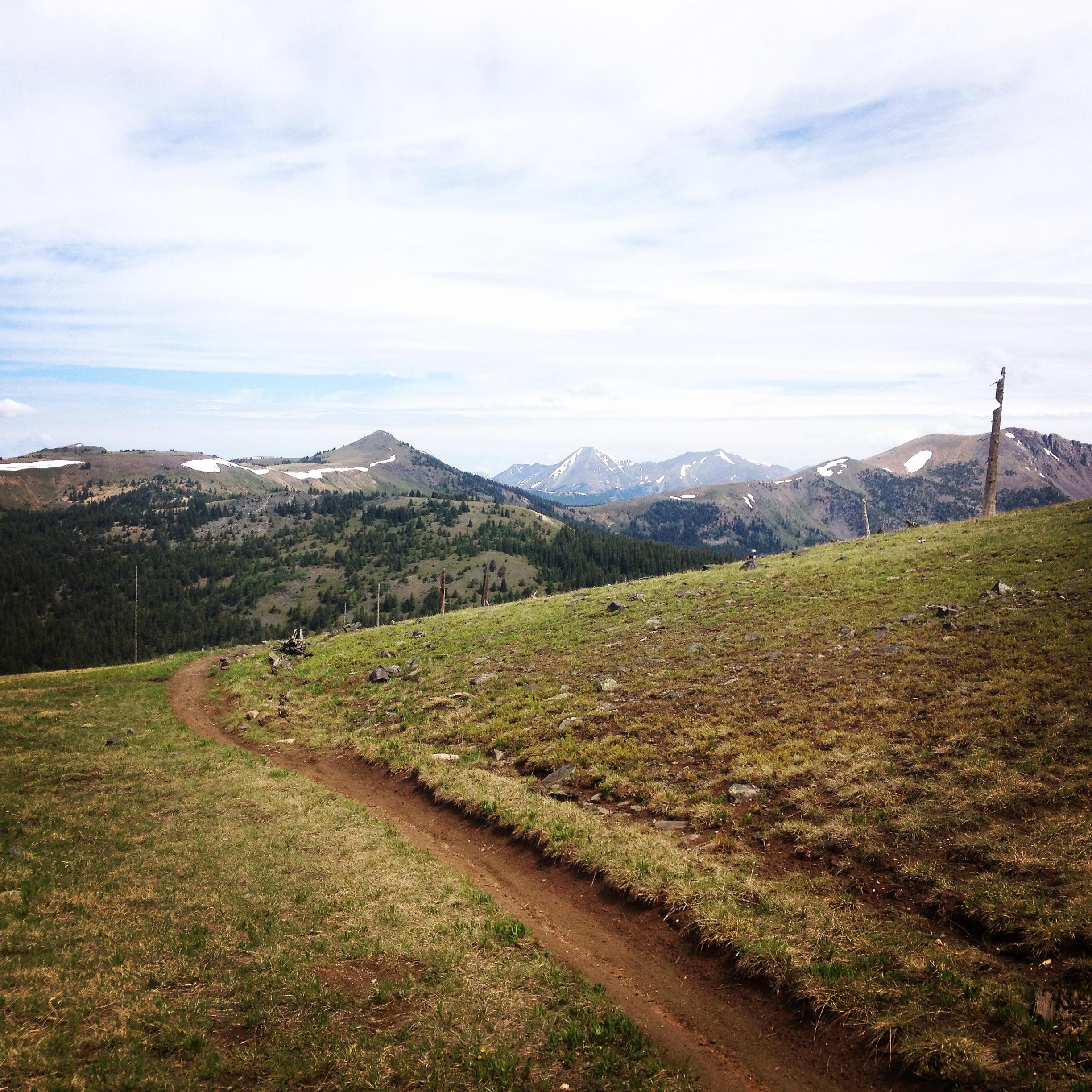 A winding dirt trail cuts through a grassy landscape, leading towards distant mountains partially covered in snow. The scene includes rolling hills and patches of trees, under a bright sky with scattered clouds. Monarch Crest Trail mountain bike trail.