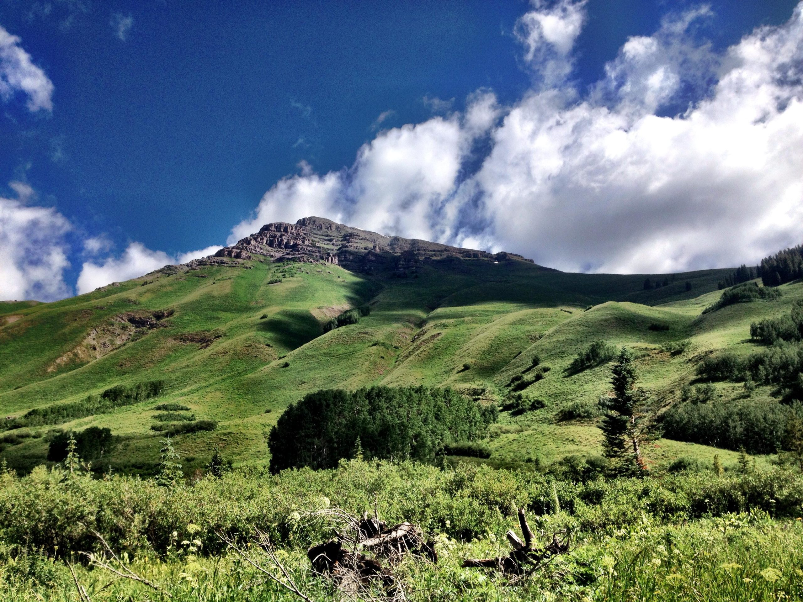 Lush green hills rise beneath a partly cloudy sky, with a rugged mountain peak in the background. The foreground features a dense layer of vegetation and scattered trees, showcasing the natural beauty of the landscape. Teocalli Ridge mountain bike trail.