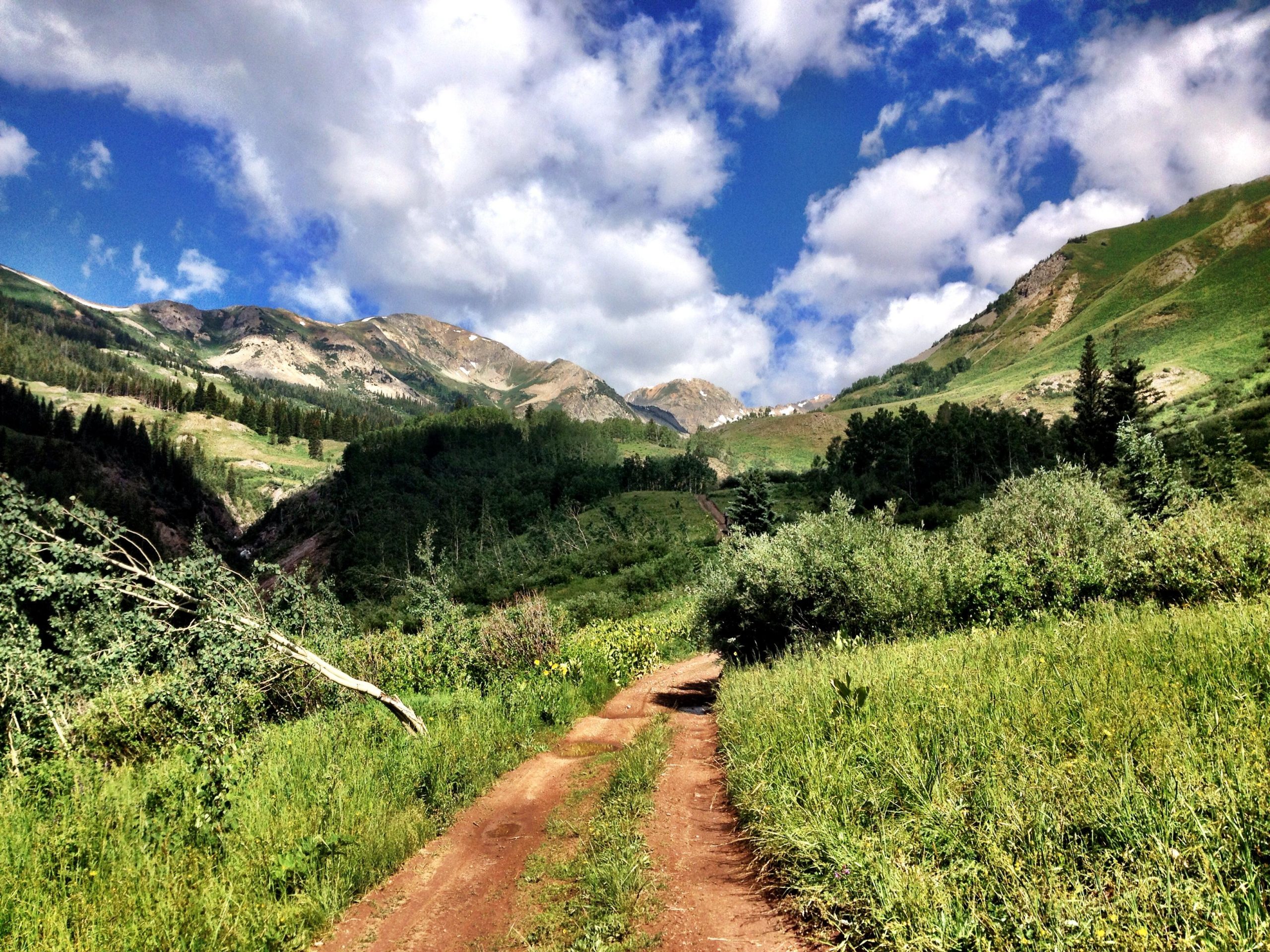 A scenic view of a dirt path winding through lush greenery, surrounded by mountains under a partly cloudy sky. The landscape features a mix of trees and grasses, highlighting the natural beauty of the area. Teocalli Ridge mountain bike trail.