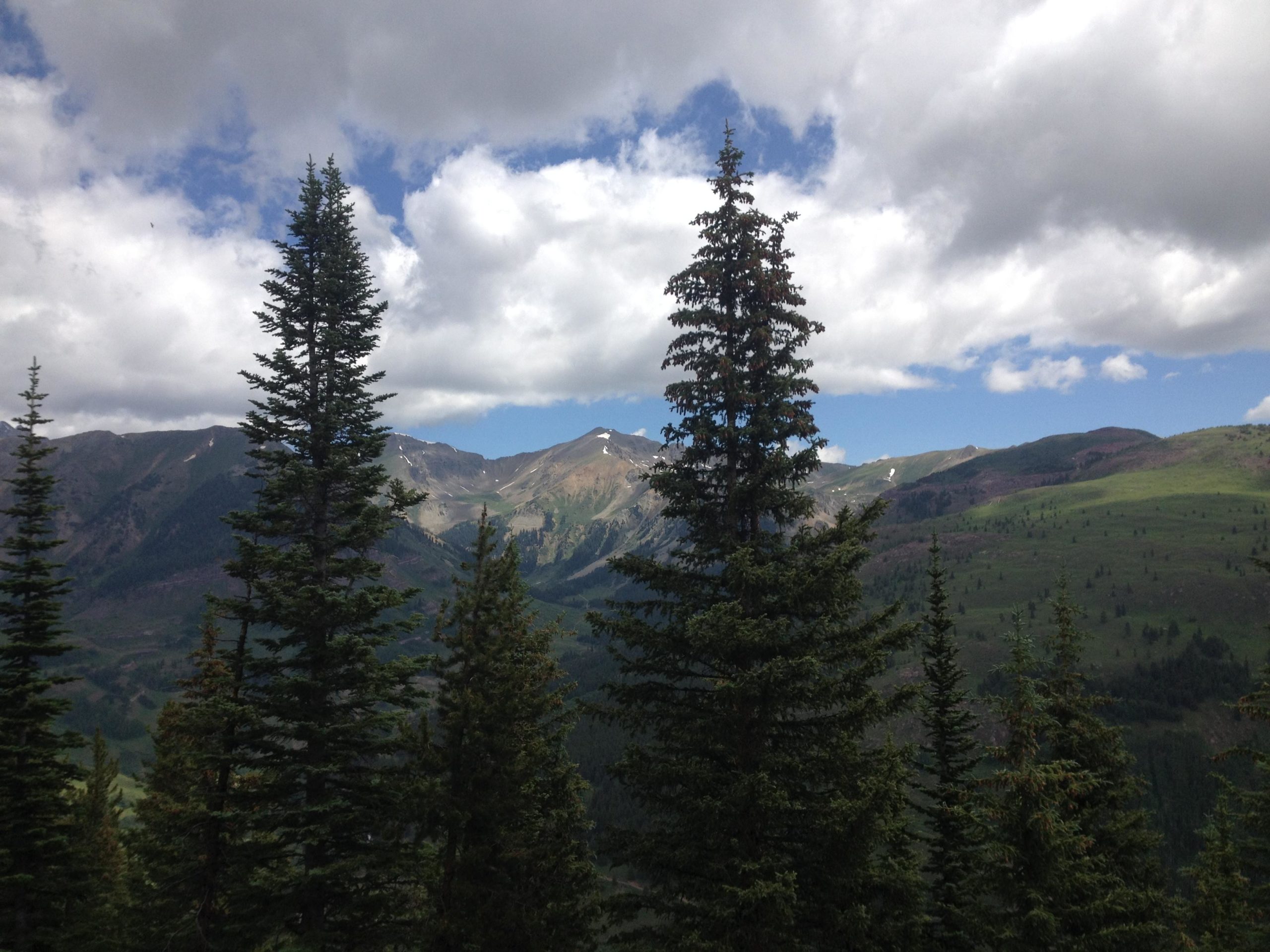 A scenic view of lush green mountains and towering evergreen trees beneath a partly cloudy sky. The mountains in the background feature hints of snow on the peaks and a mix of greenery and rugged terrain. Teocalli Ridge mountain bike trail.