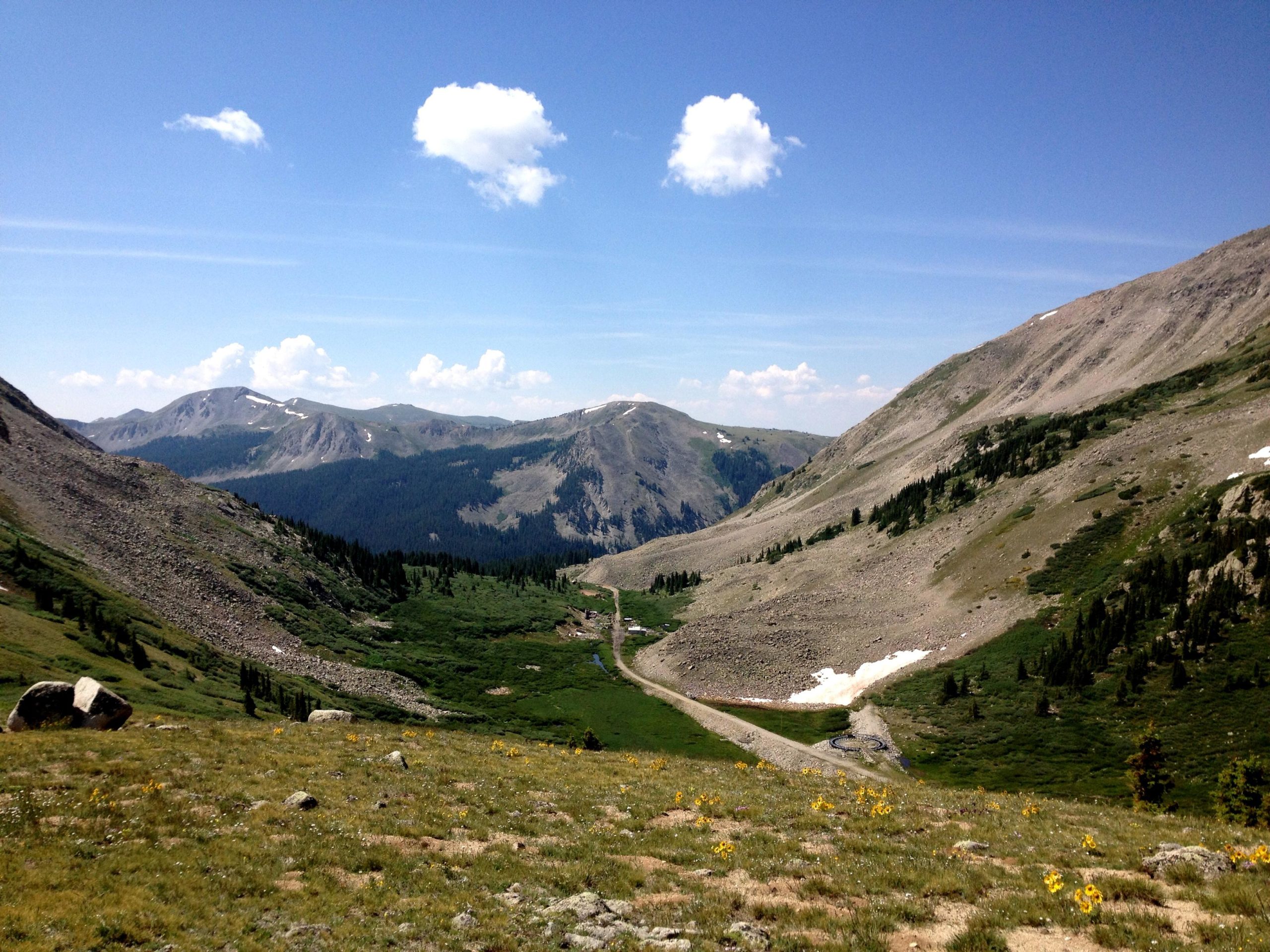 A panoramic view of a mountainous landscape under a clear blue sky, featuring a lush green valley. In the foreground, wildflowers add vibrant color, while rocky slopes and tree-covered hillsides lead to distant snow-capped peaks. A winding road can be seen cutting through the valley below. CDT: Alpine Tunnel mountain bike trail.