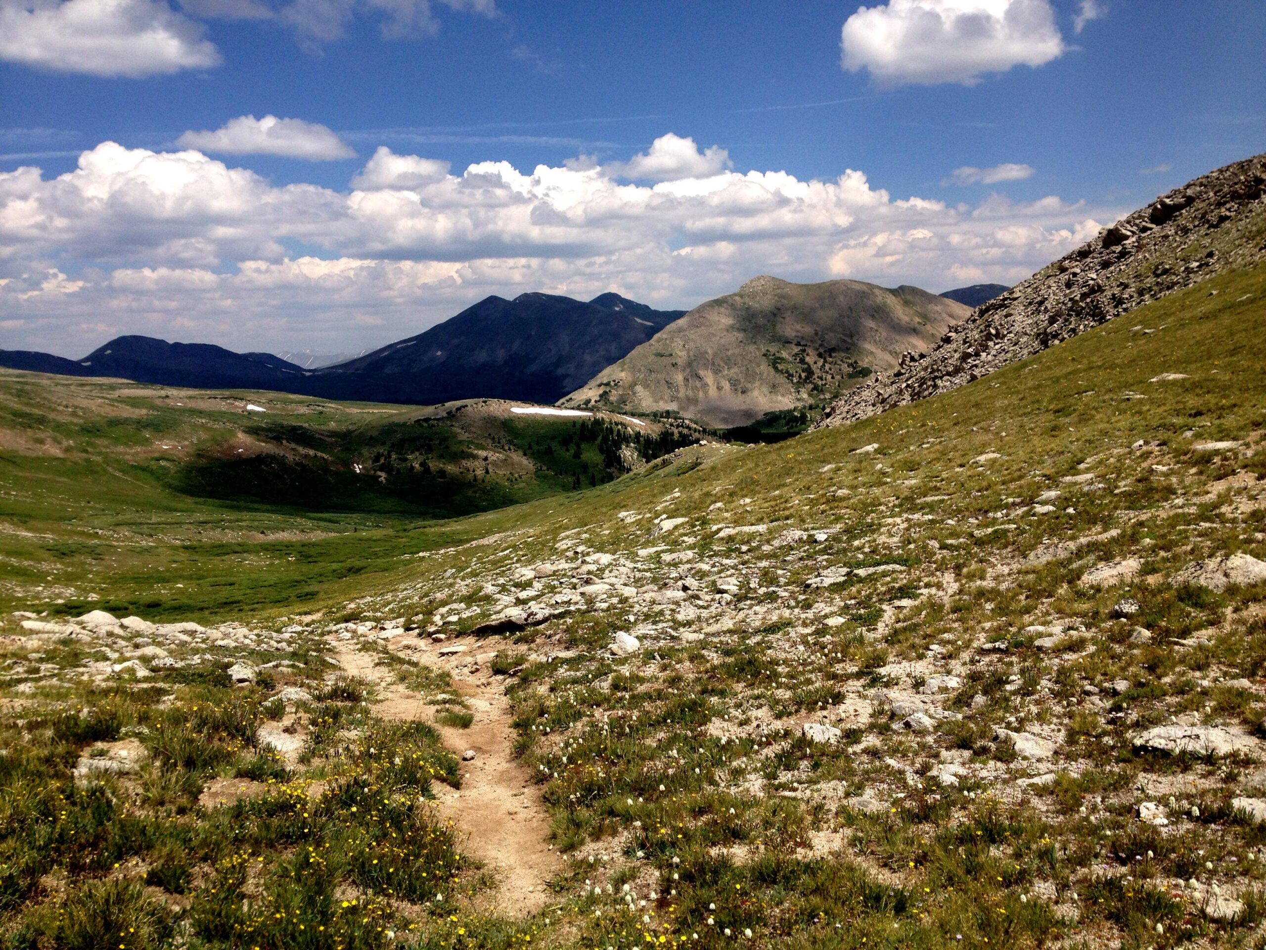 A scenic view of a mountainous landscape featuring rolling hills and a grassy valley. A narrow path winds through the foreground, lined with scattered wildflowers, while the backdrop showcases towering mountains under a partly cloudy sky. The overall scene conveys a sense of tranquility and natural beauty. CDT: Alpine Tunnel mountain bike trail.