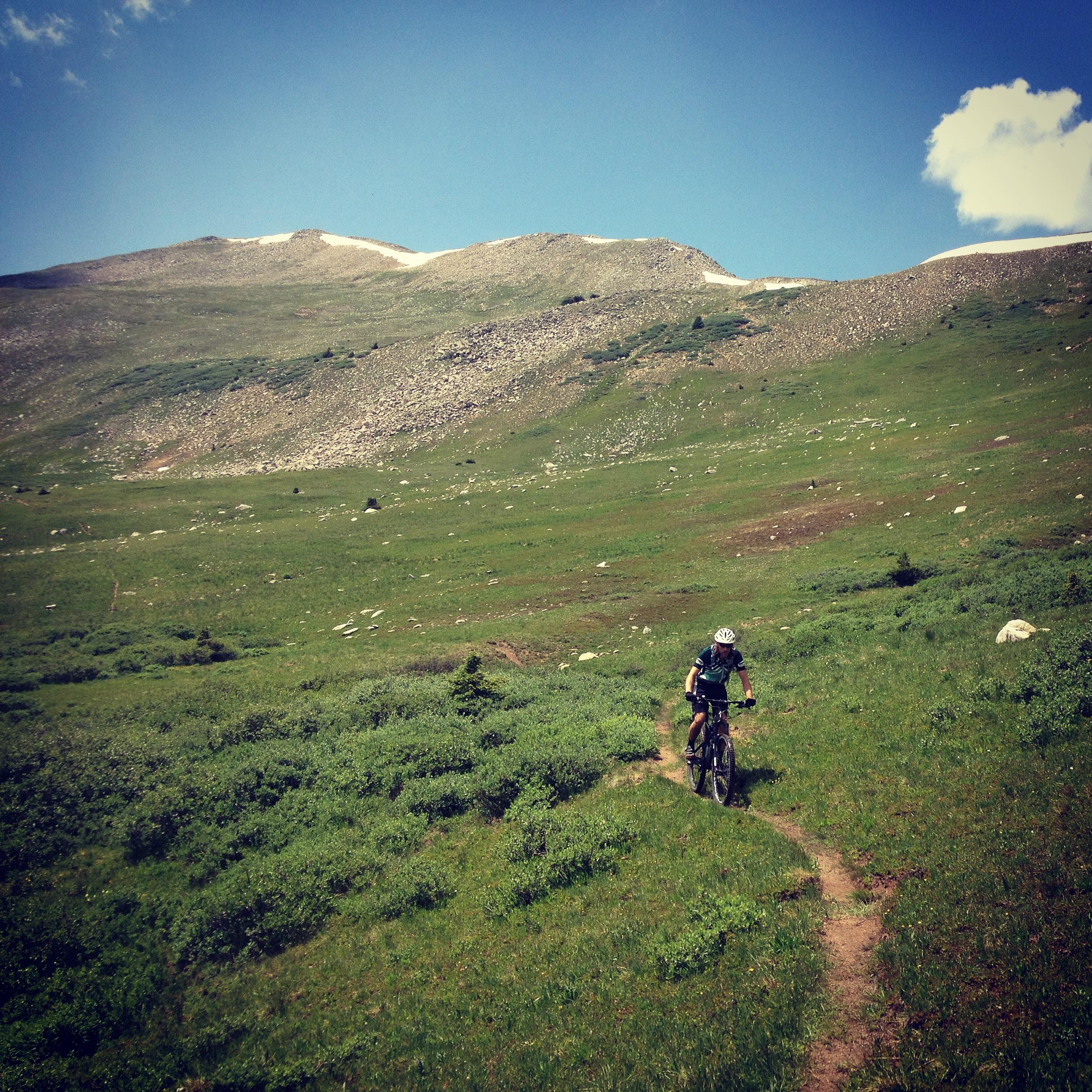 A mountain biker riding along a winding dirt trail through a lush, green meadow, surrounded by rocky slopes and a clear blue sky. CDT: Alpine Tunnel mountain bike trail.