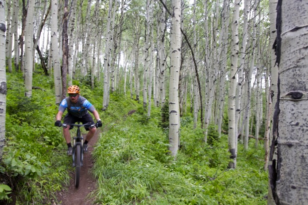 A mountain biker navigates a winding trail through a lush green forest of tall aspen trees. The cyclist is wearing a helmet and colorful biking gear, capturing the essence of outdoor adventure and mountain biking in a natural setting.