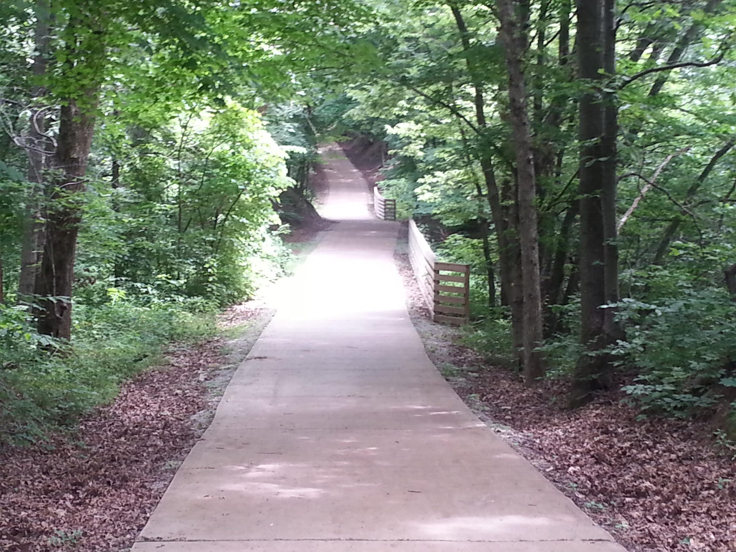A paved pathway winding through a lush, green forest with trees on either side. Sunlight filters through the foliage, illuminating sections of the path that leads into the distance. A wooden railing is visible along part of the path. Calico Multi-Use Trail mountain bike trail.