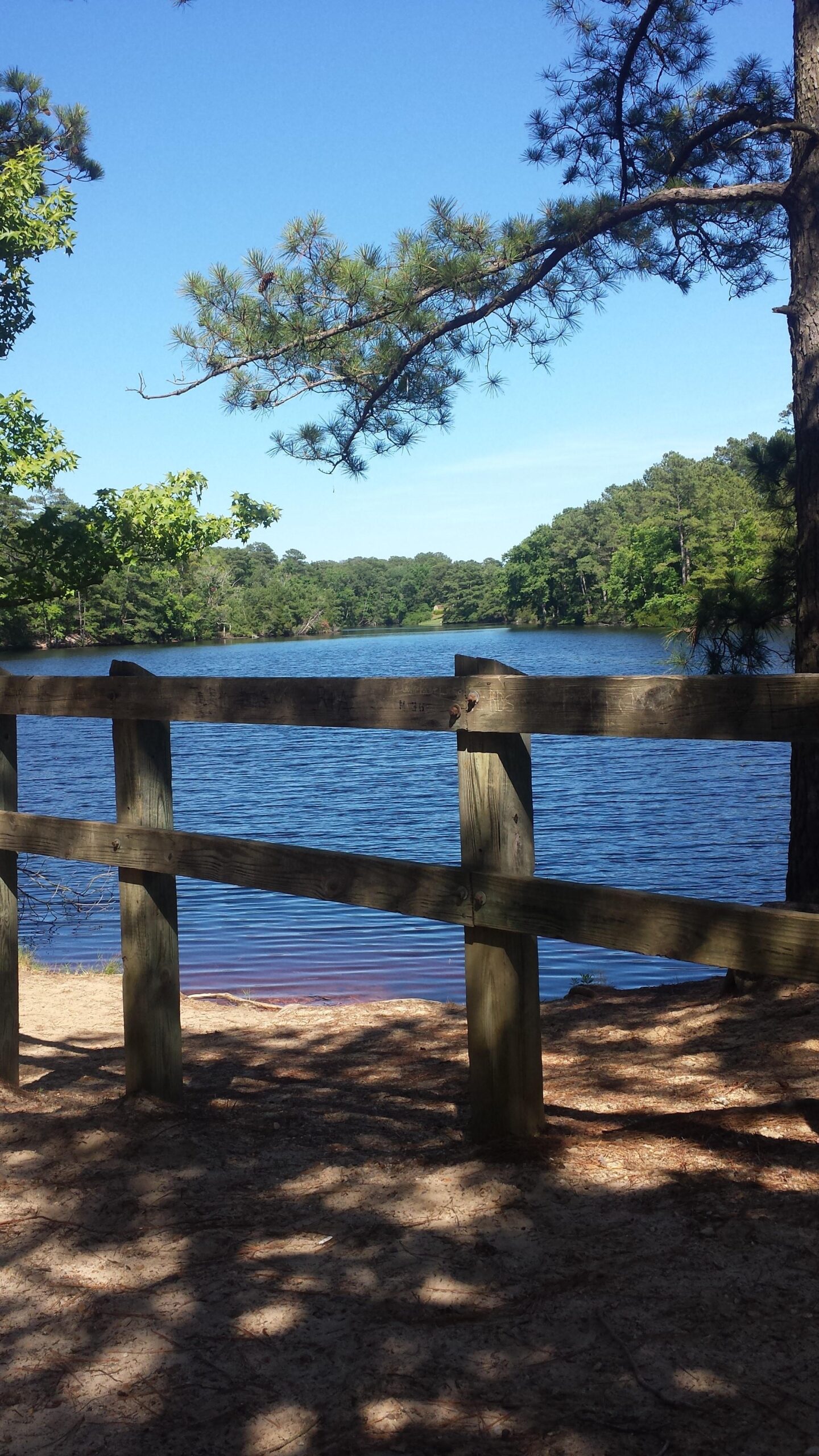 A peaceful lakeside view framed by a wooden fence, surrounded by lush green trees under a bright blue sky. The calm water reflects the scenery, creating a serene and tranquil atmosphere. First Landing State Park mountain bike trail.