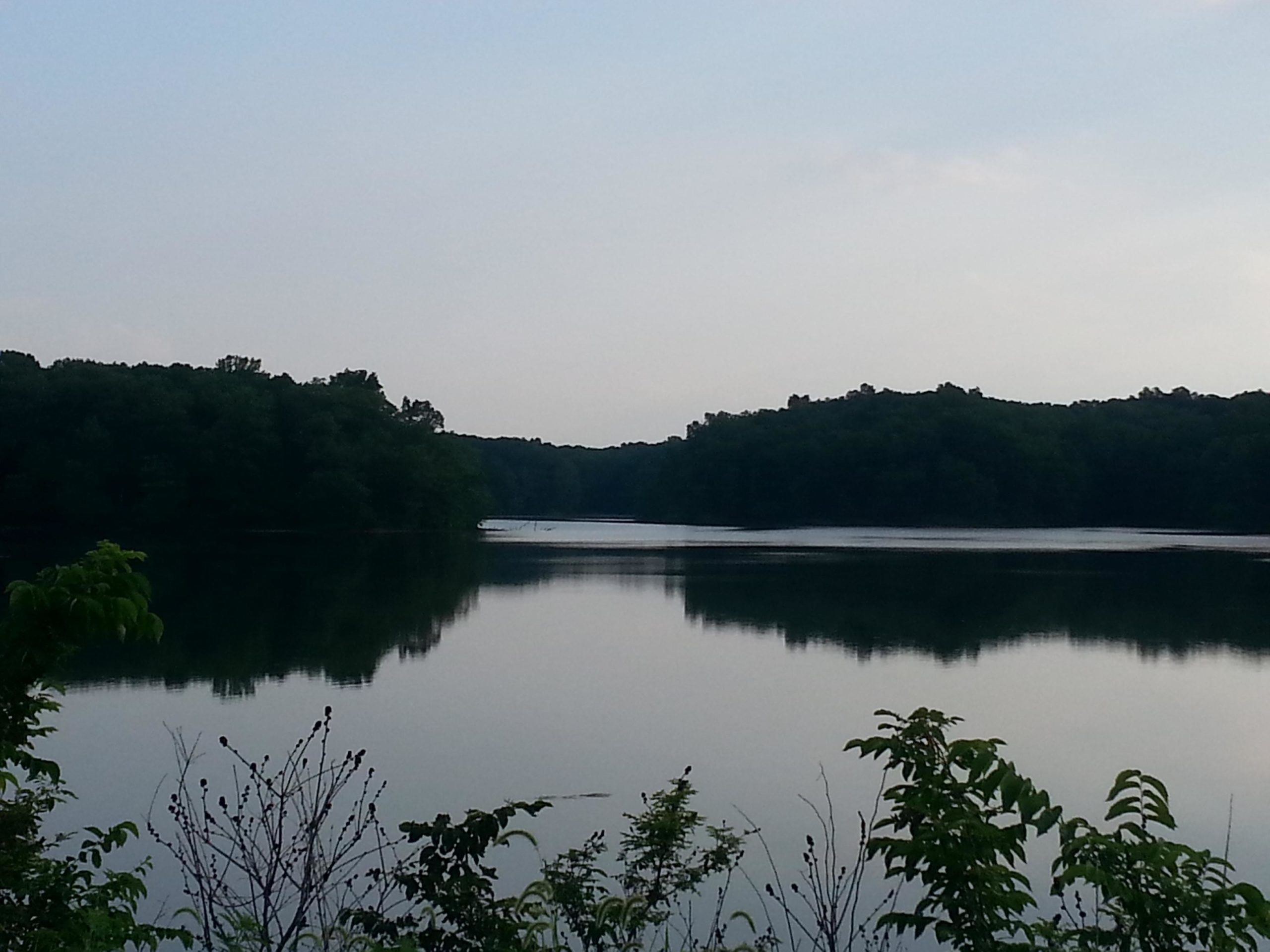 A serene landscape featuring a calm lake surrounded by lush green trees and hillside. The water reflects the trees, creating a peaceful atmosphere under a light gray sky. Small bushes and plants are visible in the foreground, adding to the natural scenery. Lincoln Trail State Park mountain bike trail.