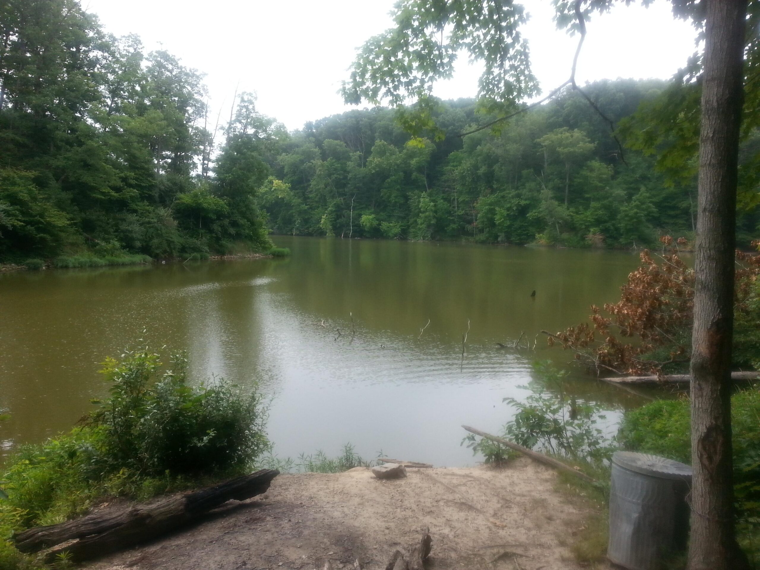A tranquil view of a serene lake surrounded by lush green trees, with a cloudy sky overhead. The water is calm, reflecting the greenery and providing a peaceful natural setting. In the foreground, there are bushes and a fallen log, while a trash can is visible to the right. Lake View Park Trails mountain bike trail.