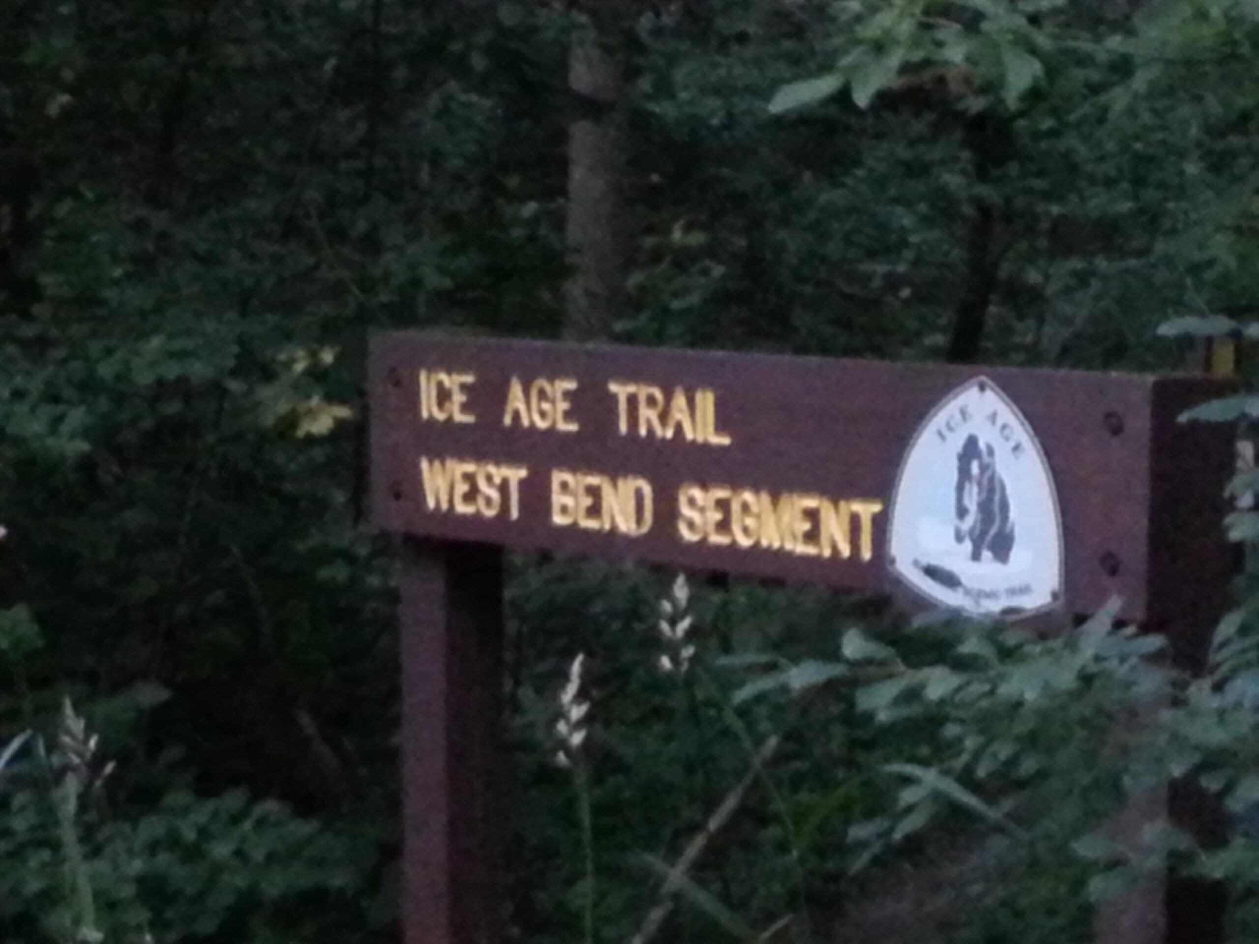 Sign for the Ice Age Trail, West Bend Segment, surrounded by greenery and trees. Glacial Blue Hills mountain bike trail.
