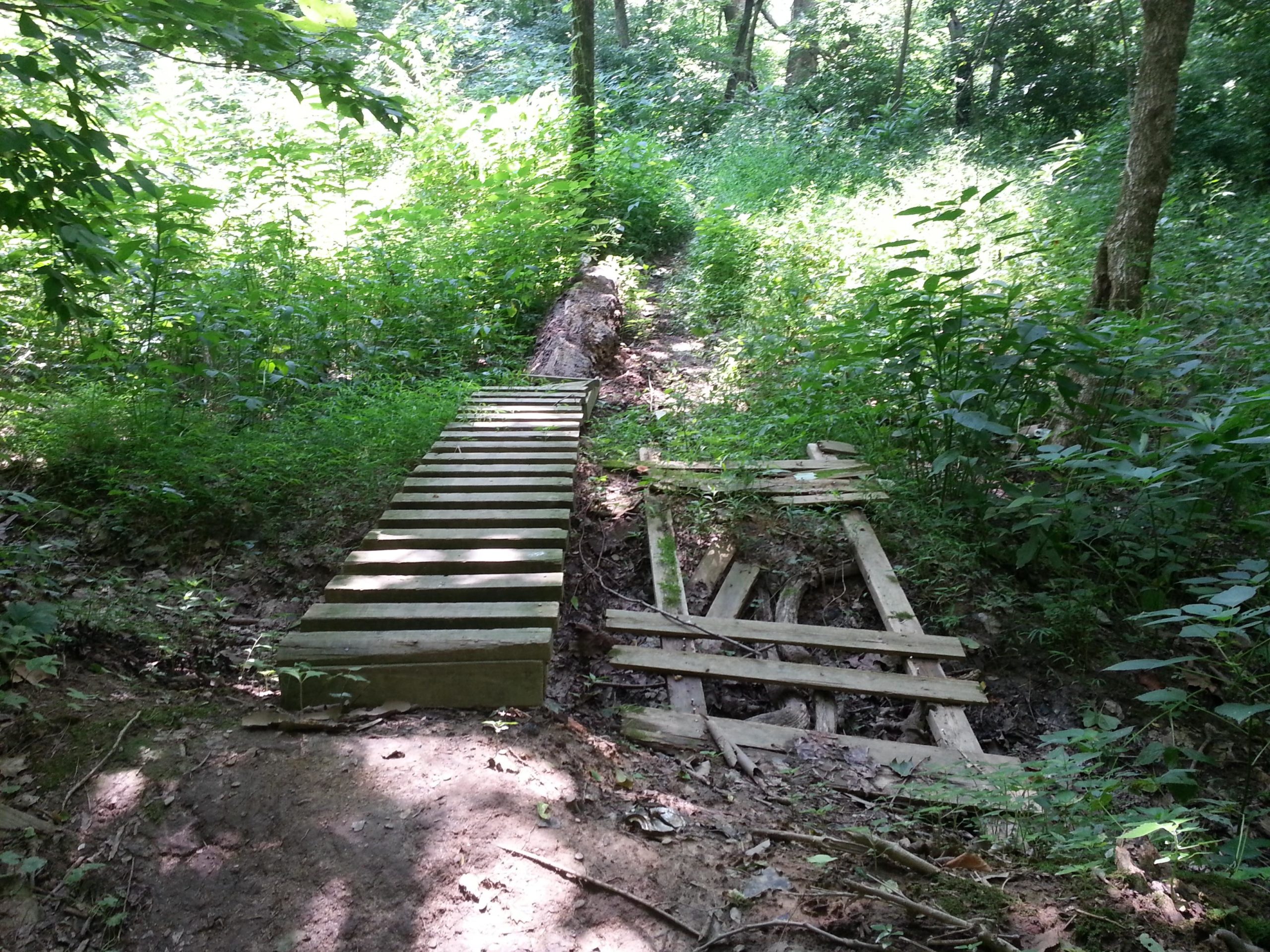 A wooded path with overgrown greenery on either side, featuring two wooden bridges. The left bridge is intact and sturdy, while the right side shows a dilapidated structure made of planks, partially collapsed into the ground. Soft sunlight filters through the trees, illuminating the scene. Jordan Creek Parkway mountain bike trail.