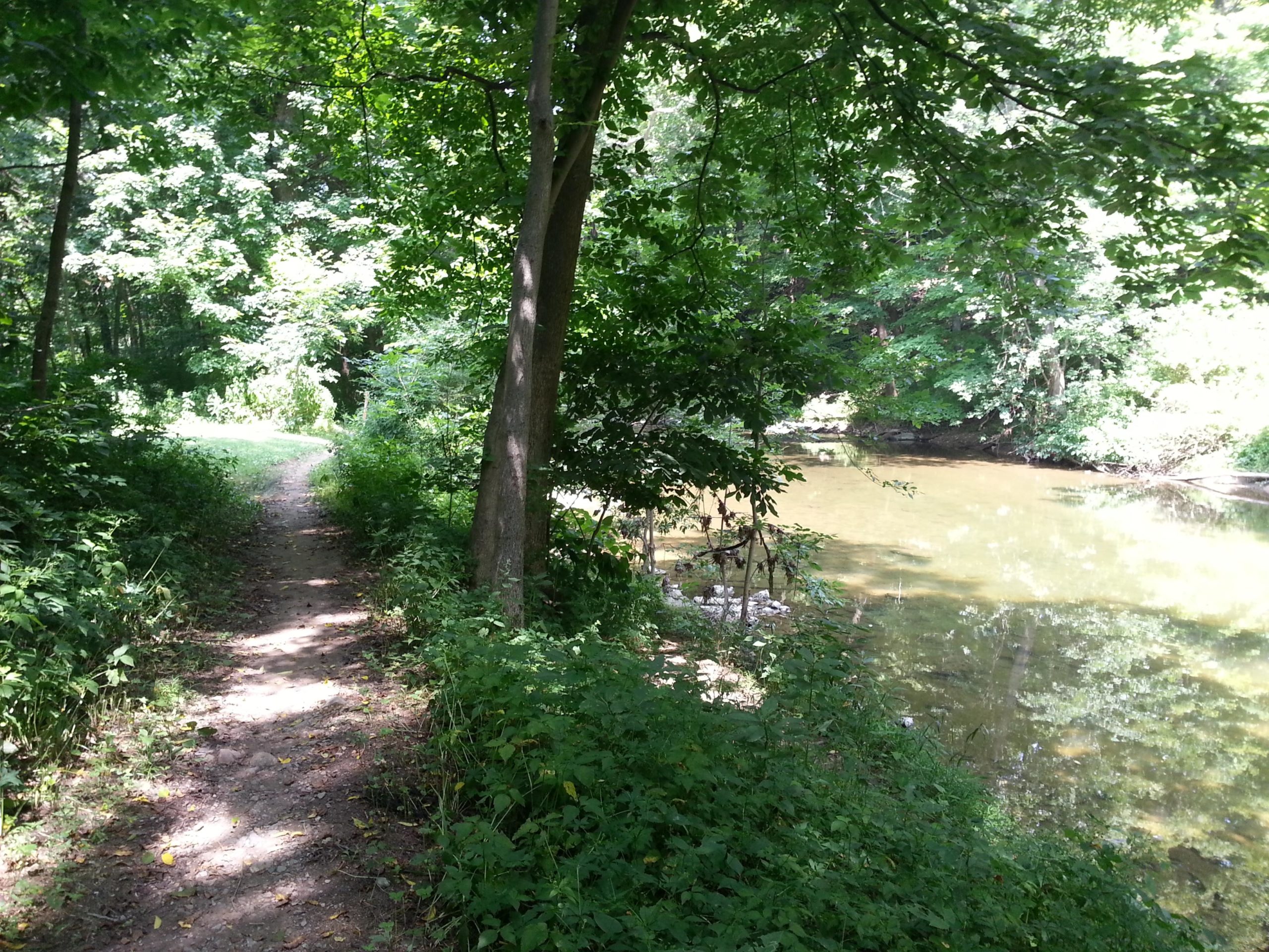 A winding dirt path surrounded by lush greenery leads to a serene, gently flowing river. Sunlight filters through the dense trees, illuminating the scene and creating a peaceful atmosphere. The riverbank is framed by various plants and rocks, enhancing the natural setting. Jordan Creek Parkway mountain bike trail.