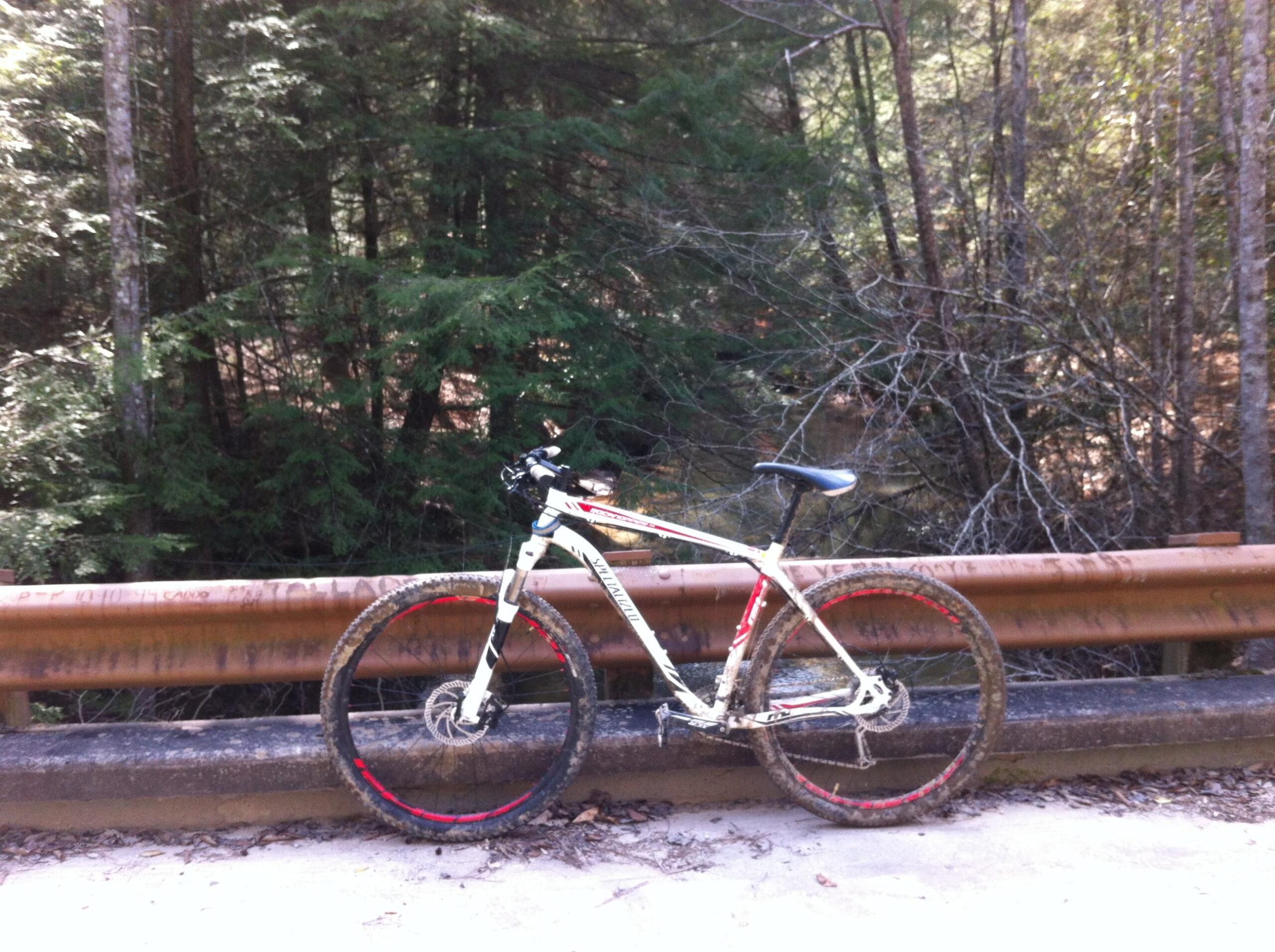 Specialized Rockhopper 29: A white mountain bike with red accents rests on a rustic metal guardrail, surrounded by a dense forest of greenery. The bike is muddy, suggesting recent off-road use, and the background features trees and underbrush typical of a natural outdoor setting.
