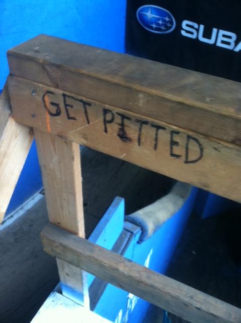 A wooden railing with the phrase "GET PITTED" hand-painted in bold letters, set against a blue backdrop. The scene features a partially visible, structured area that appears to be part of a recreational space, with a logo for Subaru in the background. Rays Indoor Mtb Park mountain bike trail.