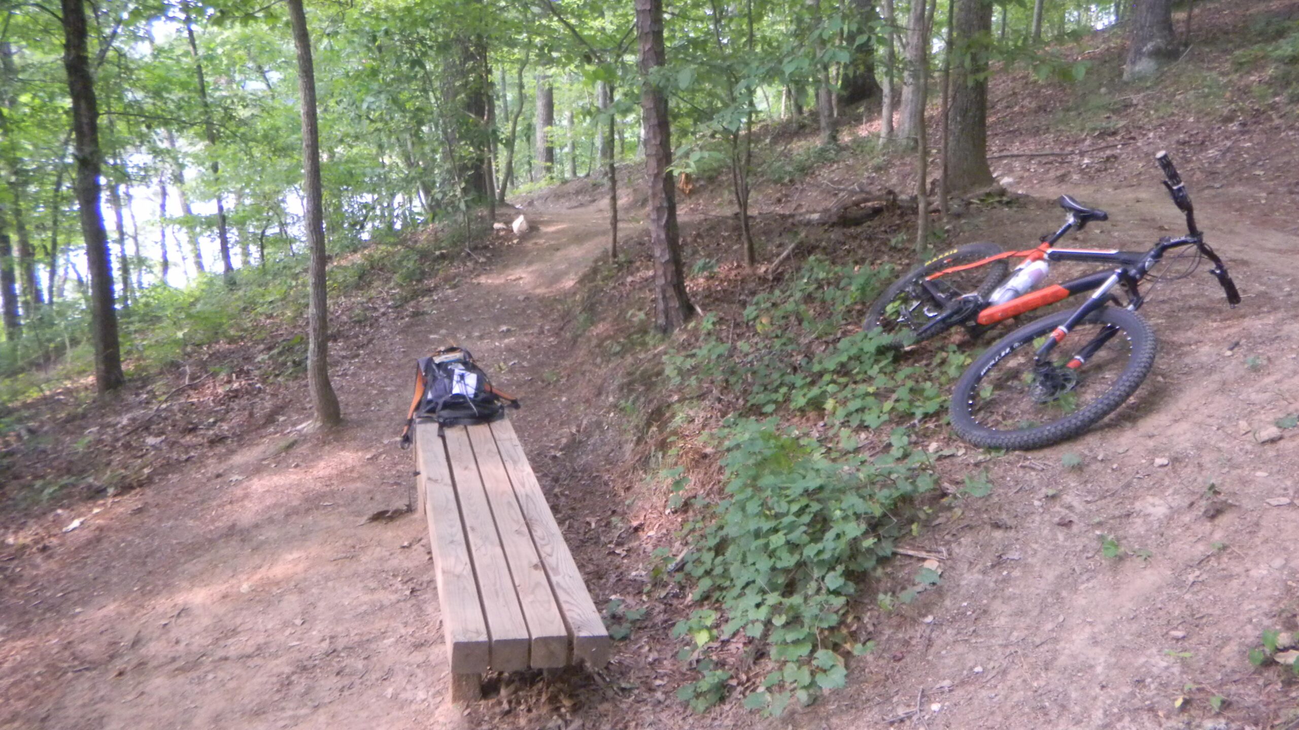 A mountain biking path in a wooded area, featuring a wooden bench on the left and two mountain bikes resting on the ground. The scene is lush with green foliage and sunlight filtering through the trees, creating a serene outdoor atmosphere. Blankets Creek mountain bike trail.