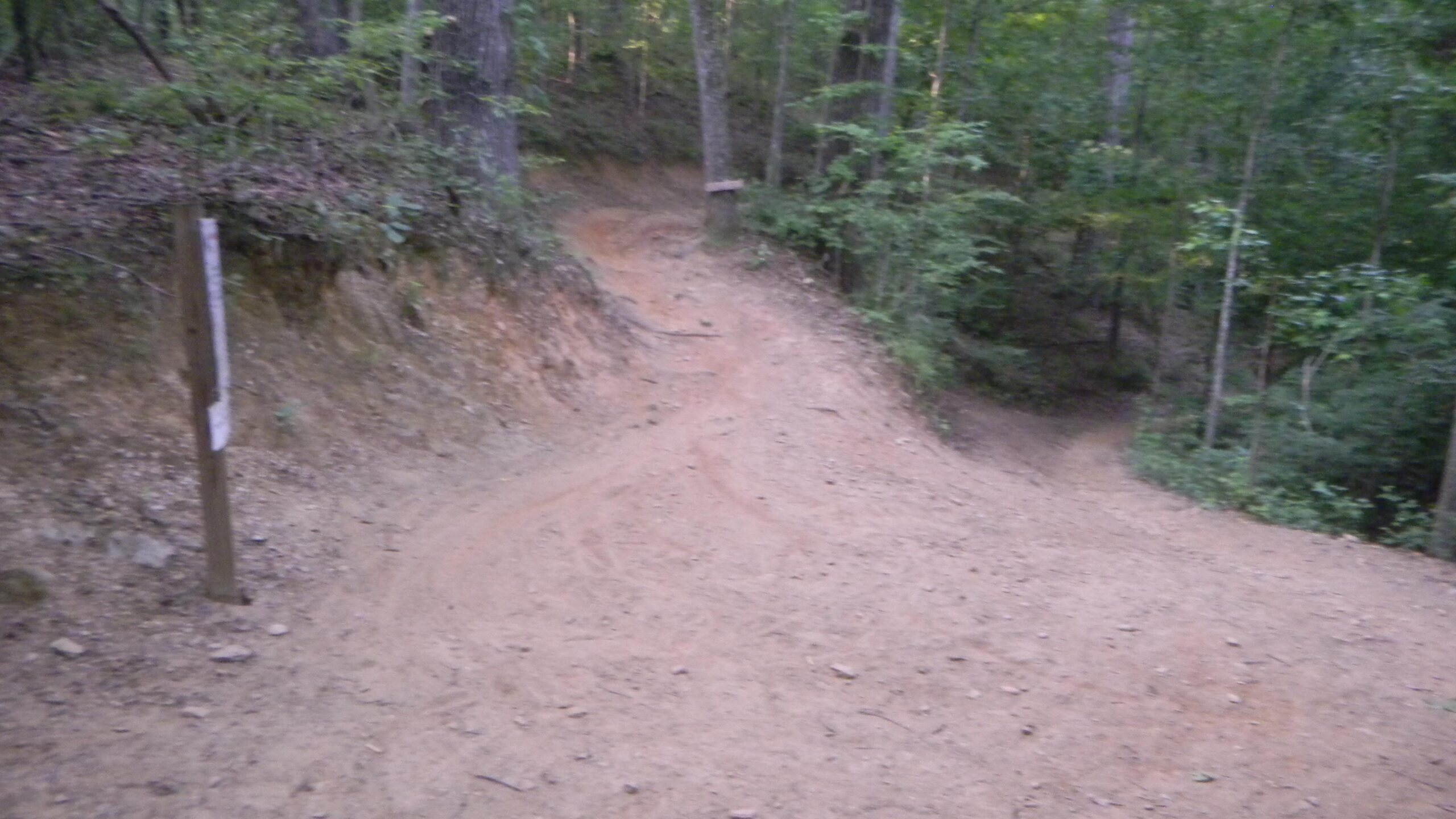 A dirt path winding through a forest, with a signpost to the left. The trail splits into two directions, surrounded by trees and underbrush. The ground is sandy and slightly uneven, indicating a natural hiking or biking route. Blankets Creek mountain bike trail.