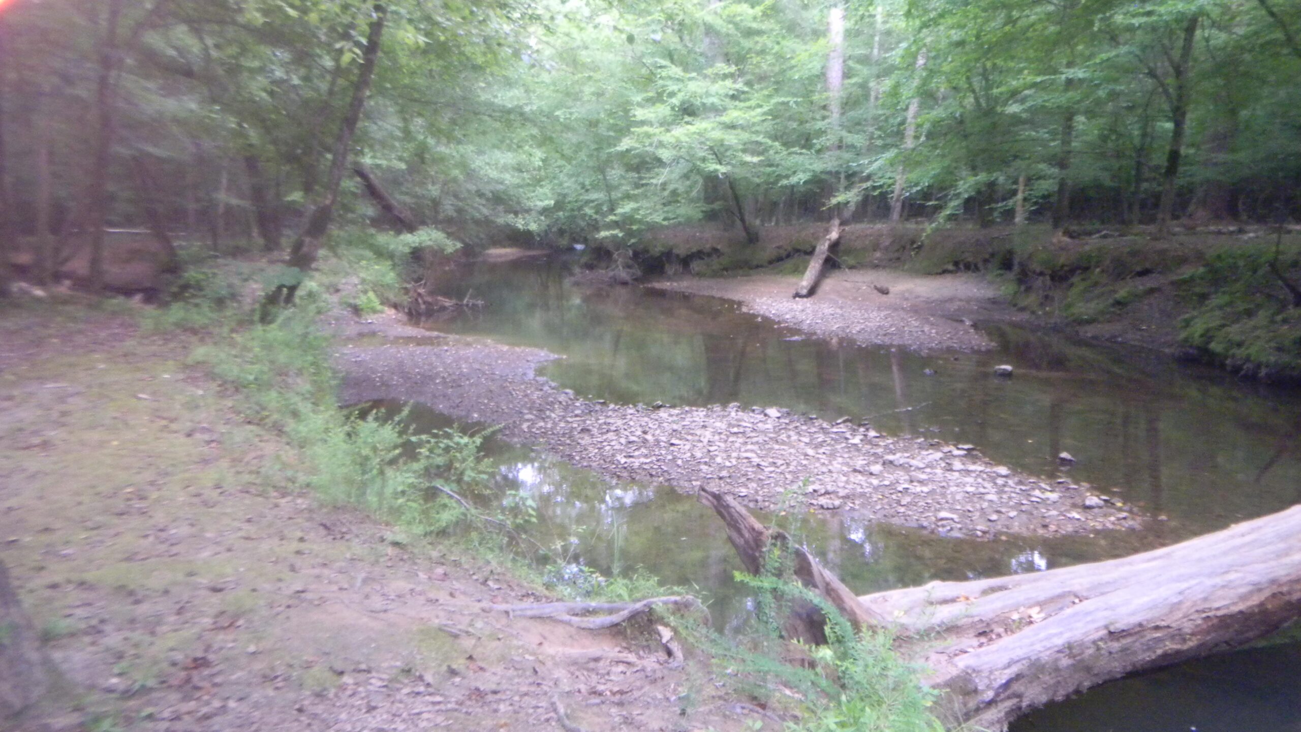 A serene wooded area with a gently winding creek. The bank is lined with lush greenery, and a fallen log stretches across the foreground. The water is shallow in places, revealing pebbles and rocks along the bed. Dense trees provide shade, creating a peaceful natural setting. Blankets Creek mountain bike trail.