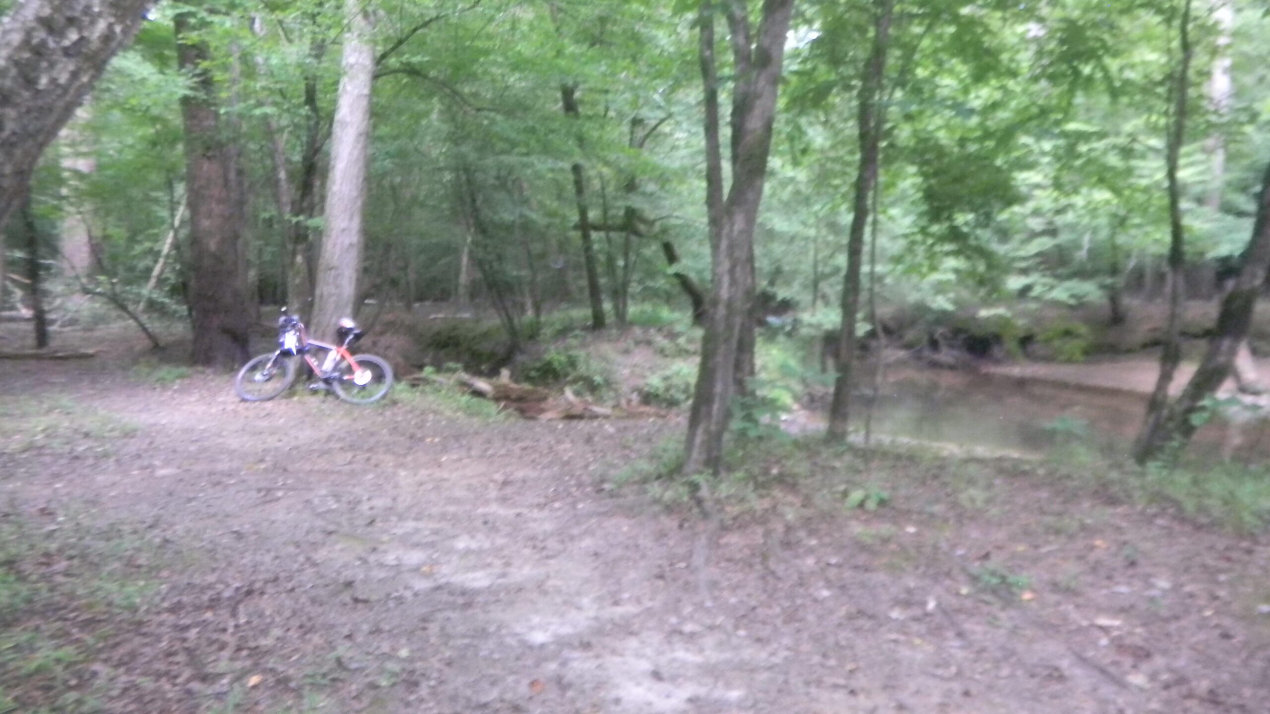 A mountain bike is parked on a dirt path surrounded by lush green trees, with a small creek visible in the background. The scene is tranquil and forested, indicating a natural outdoor setting. Blankets Creek mountain bike trail.