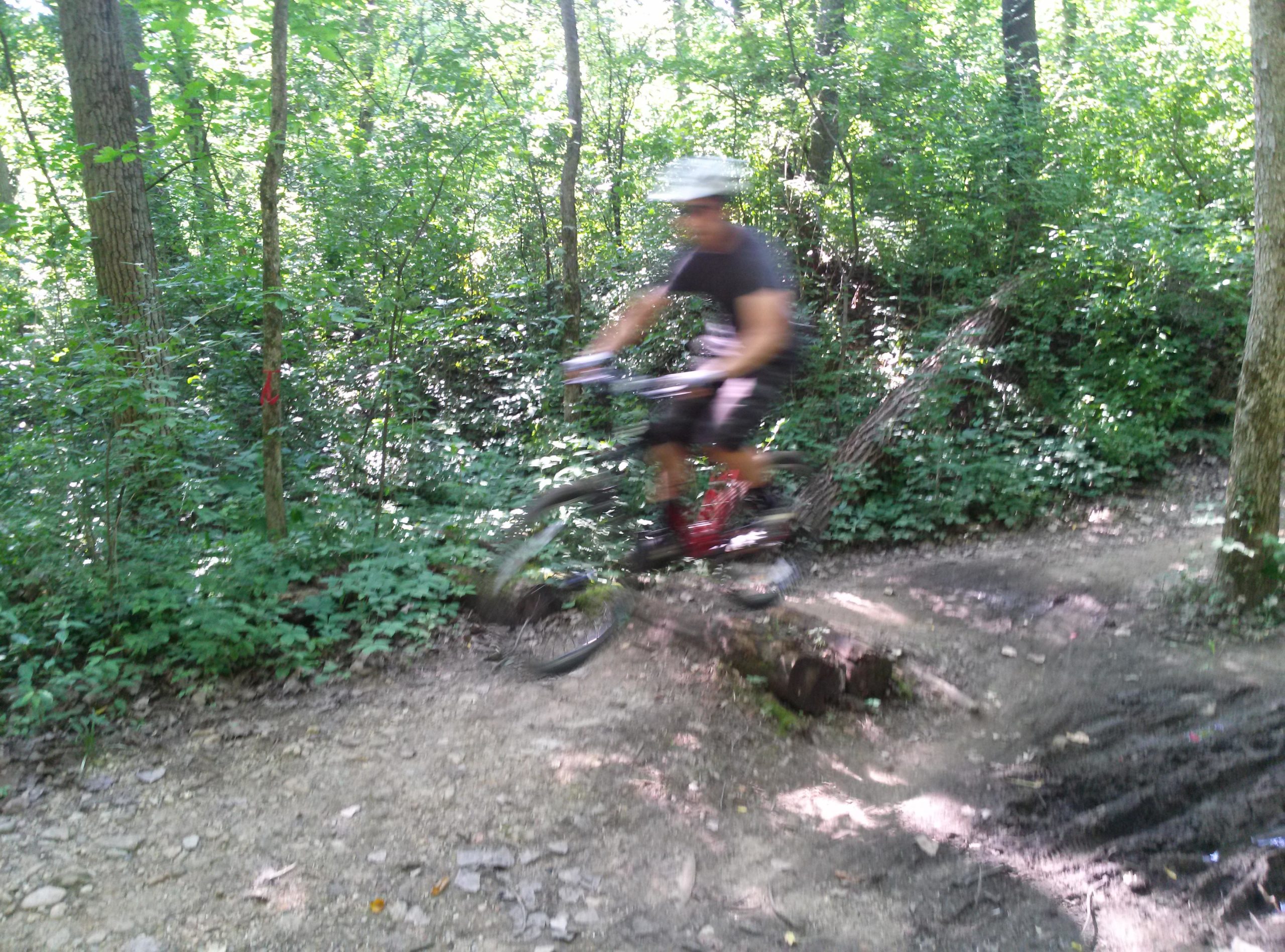 A motion-blurred image of a person riding a mountain bike on a dirt trail surrounded by dense greenery and trees. The cyclist is mid-air, having just jumped over a small log on the trail. Saw Wee Kee Park mountain bike trail.