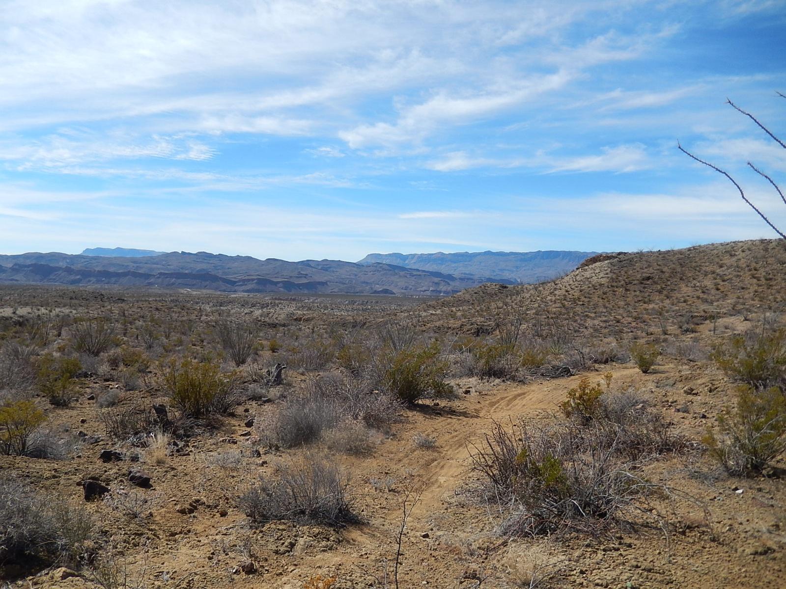 A desert landscape featuring a winding dirt path leading through sparse vegetation, with mountains in the background under a clear blue sky. Big Bend State Park mountain bike trail.