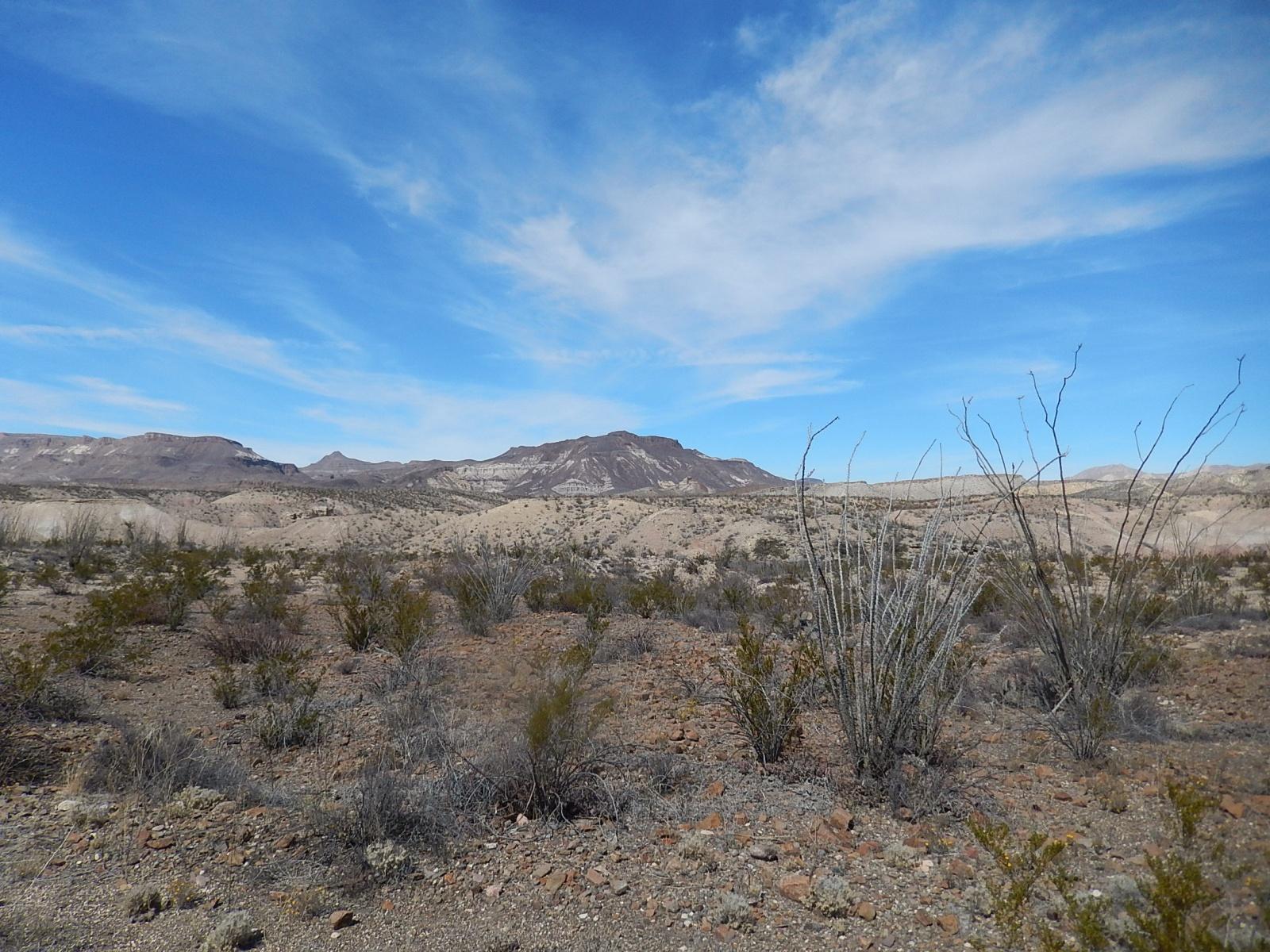 A vast desert landscape featuring rocky terrain and sparse vegetation, with distant mountains under a clear blue sky and scattered clouds. Big Bend State Park mountain bike trail.